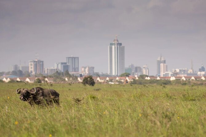 Nairobi National Park Game Drive and Beads Center Guided Tour - Transportation
