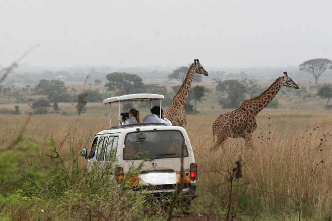 Nairobi National Park Game Drive and Transfer - Meal Options