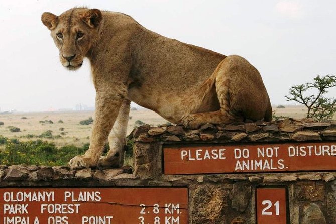 Nairobi National Park Game Drive and Transfer - Pickup Locations