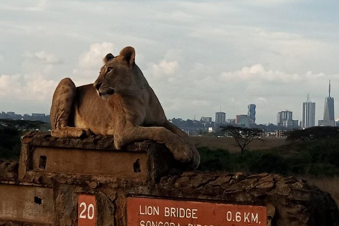 Nairobi National Park Game Drive Group Joining With Free Wifi - Inclusions