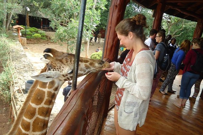 Nairobi National Park, Giraffe Center and Elephant Orphanage Day Tour From Nairobi - Meeting and Pickup