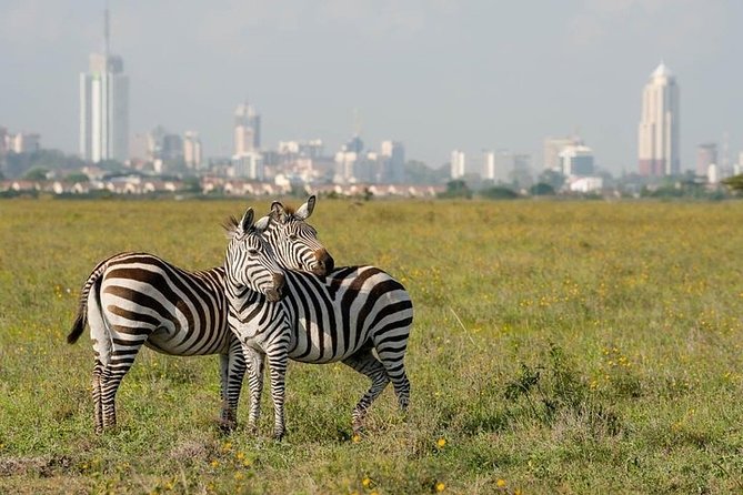 Nairobi National Park, Giraffe Center and Museum Day Tour - Tour Details