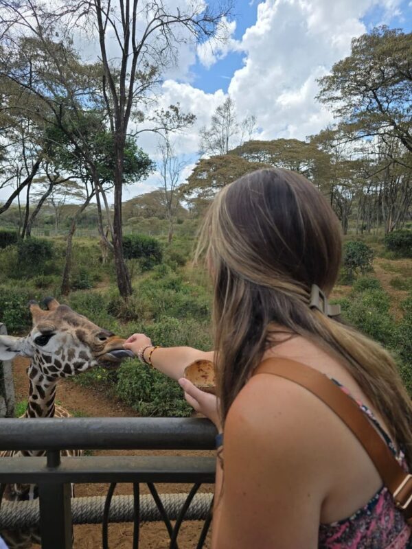 Nairobi National Park & Giraffe Centre Half-Day Tour with Elephant Feeding - Does $71.89 offer good value?