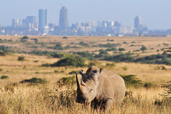 Nairobi National Park Group Shared Tour - Inclusions and Exclusions
