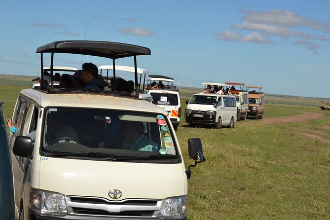 Nairobi National Park Half Day Tour - Booking Information