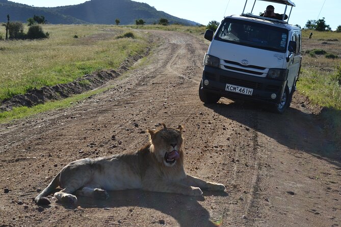 Nairobi National Park Half Day Tour - End Point