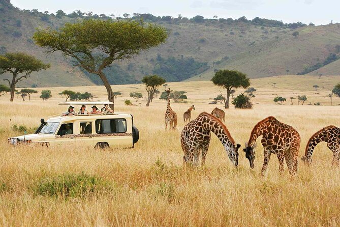 Nairobi National Park, Karen Blixen, Beads Center and Bomas - Bead Center Experience