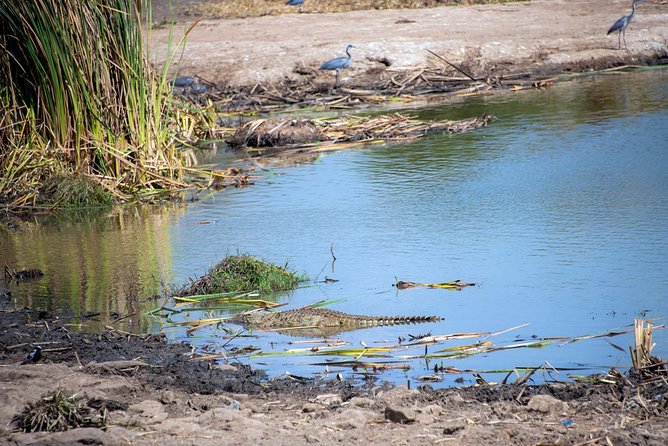 Nairobi National Park Private Safaris for Lay-Overs - Cancellation Policy and Refunds