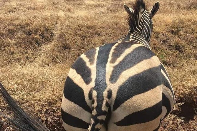 Nairobi National Park Safari - Booking Information and Flexibility