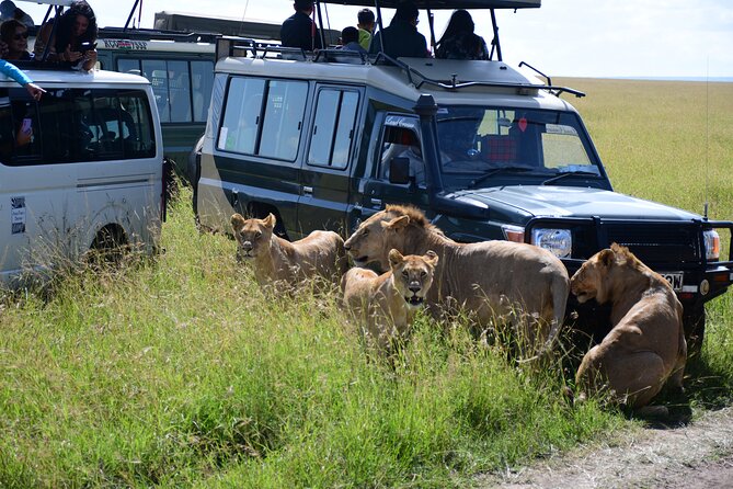 Nairobi National Park Shared Tour - Directions