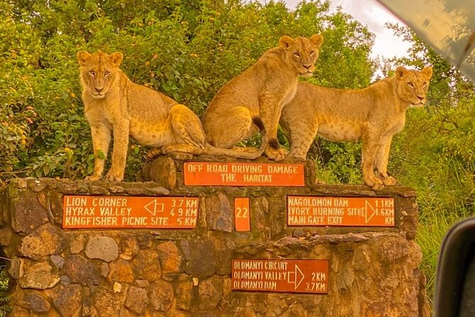 Nairobi National Park Sun Rise Game Drive With Pickup & Drop-Off - Directions and Logistics