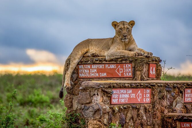 Nairobi National Park Tour - Background