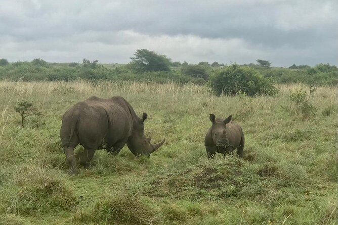 Nairobi National Park Tour - Frequently Asked Questions