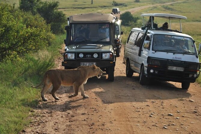 Nairobi National Park Tour - Tour Details