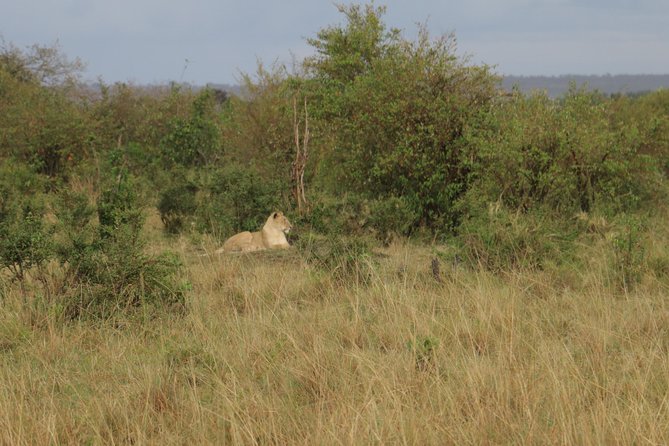 Nairobi National Park Tour - Pickup and Meeting Points