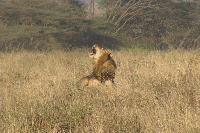 Nairobi National Park Tour - Inclusions and Exclusions