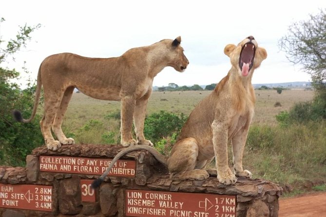 Nairobi National Park Tour - Important Information