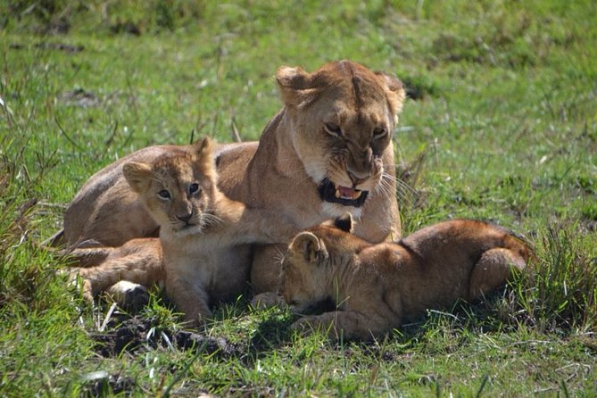 Nairobi National Park Tour - Booking and Cancellation Policy