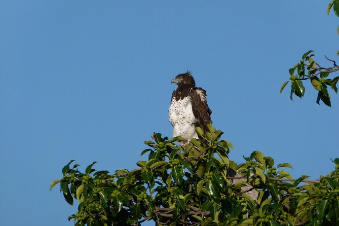 Nairobi National Park Tour - Frequently Asked Questions