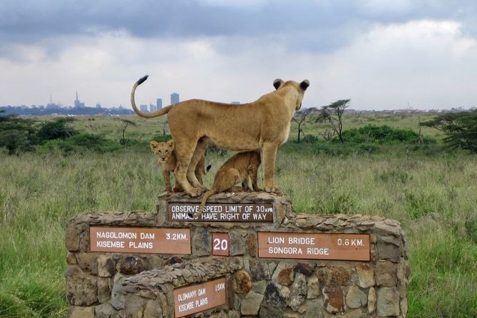 Nairobi National Park Tour With Game Drive and Transfer - Pickup Locations