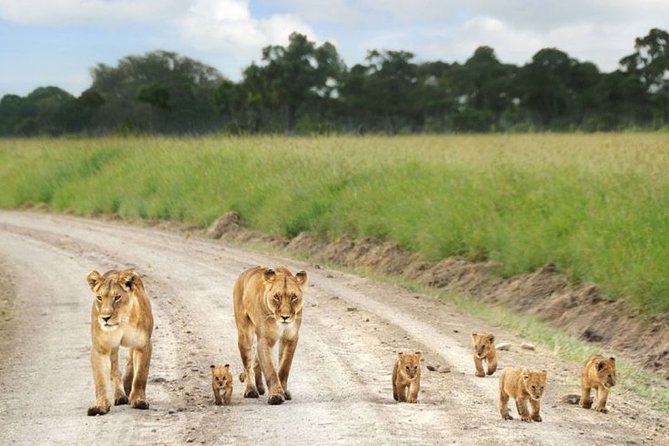 Nairobi National Park Tour With Game Drive and Transfer - Cancellation Policy