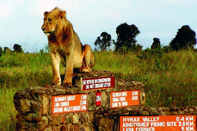 Nairobi National Park Tour With Game Drive and Transfer - Booking Process