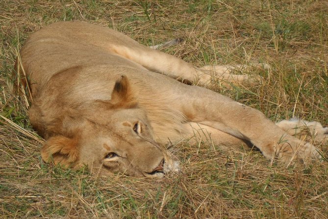 Nairobi National Park,Afternoon Game Drive - End Point Information