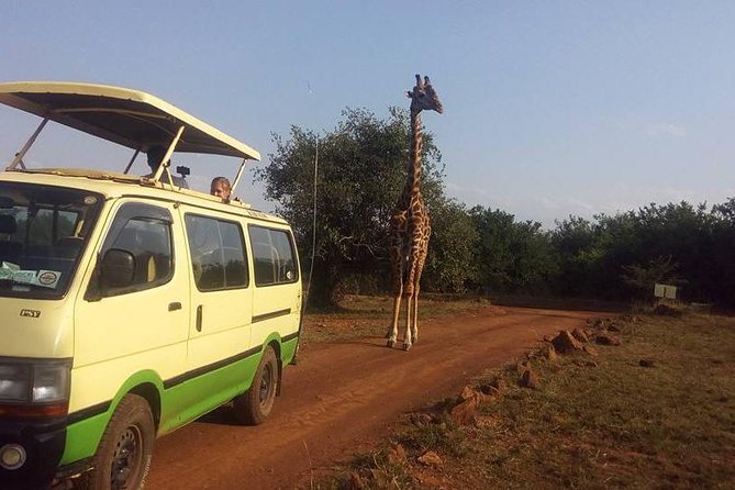 Nairobi Park Tour 6.A.M-11.Am - Price and Payment