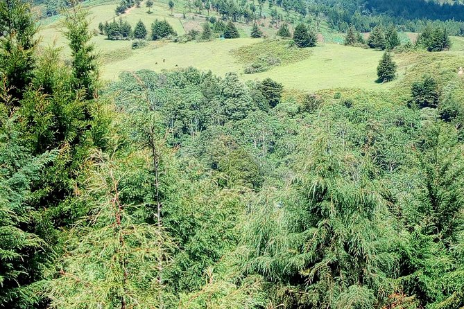 Nairobi Zip Lining Adventure Experience - Additional Info