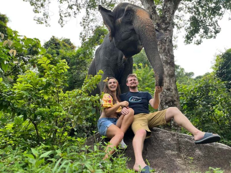 Naithon: Heart to Trunk - A Phuket Elephant Care Experience - Who Would Love This Experience?