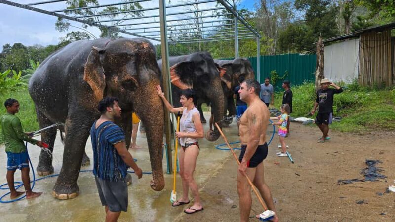 Naithon: Heart to Trunk - A Phuket Elephant Care Experience - Who Will Love This Tour?