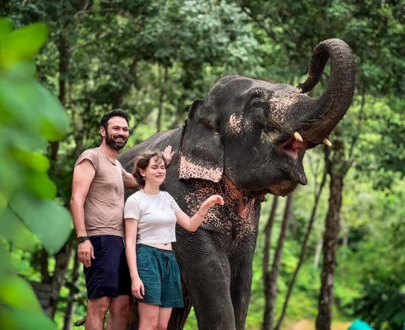 Naithon: Heart to Trunk - A Phuket Elephant Care Experience - FAQ