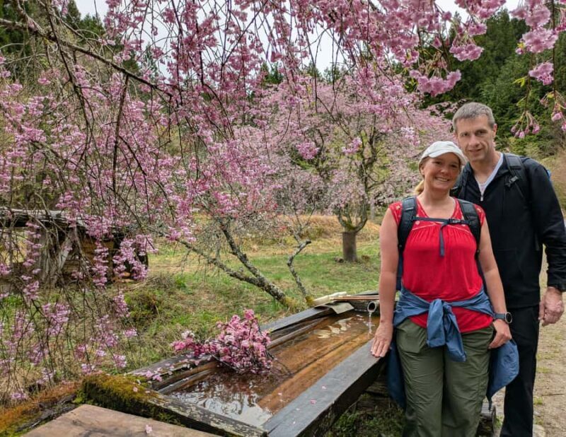 Nakasendo Magome Private Hiking TourGuide & Car from Nagoya - Good To Know