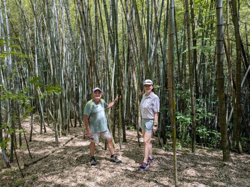 Nakasendo Magome Private Hiking TourGuide & Car from Nagoya - Authentic Insights from the Reviewer Community
