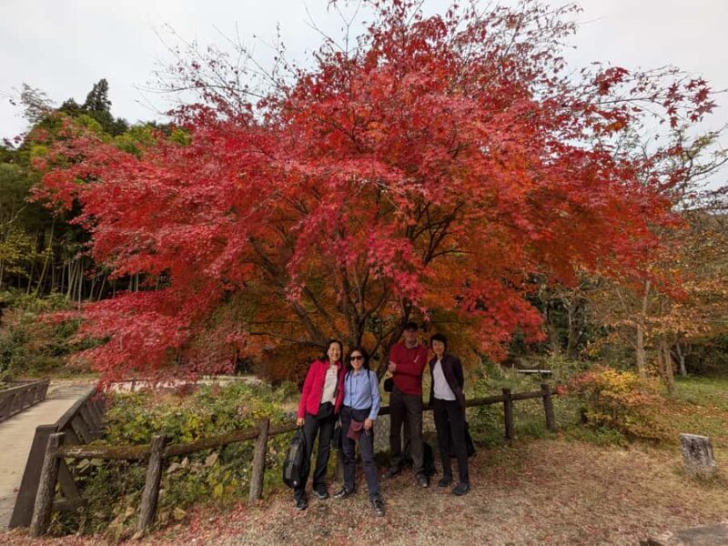 Nakasendo Magome Private Hiking TourGuide & Car from Nagoya - The Experience: A Complete Breakdown of the Tour