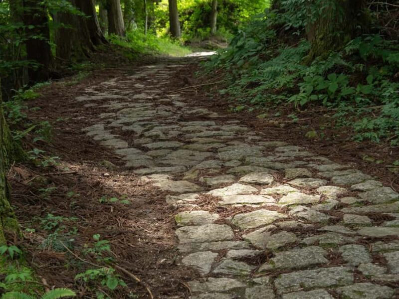 Nakasendo Samurai Road Hiking tour from Nagoya - The Route: What to Expect on Your Nakasendo Adventure