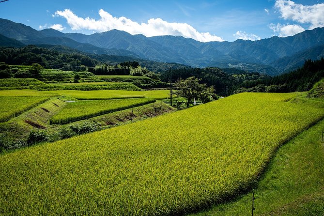 Nakasendo Self-Guided Walking Tour 2 Days - Tour Details