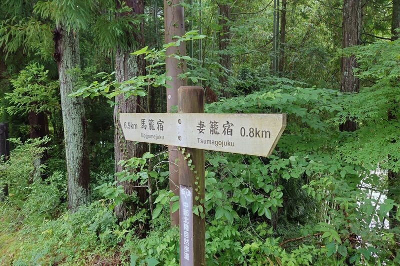 Nakasendo Trail One Day Walking Tour from Matsumoto - The forest trail: cobbles, waterfalls and rest breaks