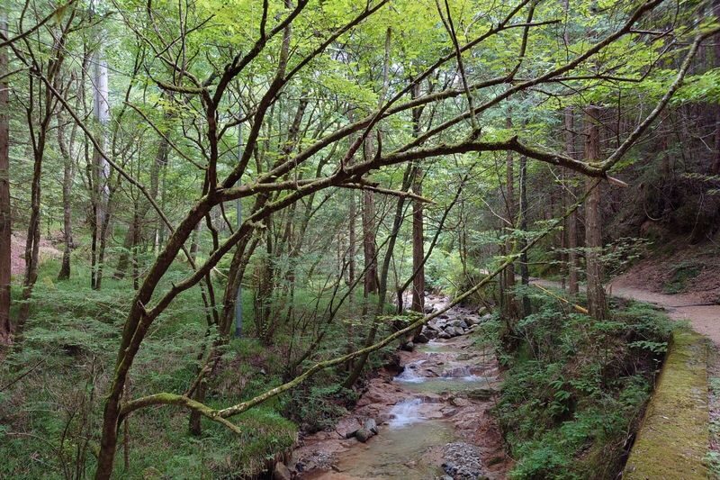 Nakasendo Trail One Day Walking Tour from Matsumoto - Is the price worth it?