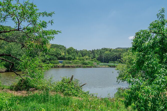 Nakatsu Orchard Fruit Tasting Tour - Practical Details and Tips