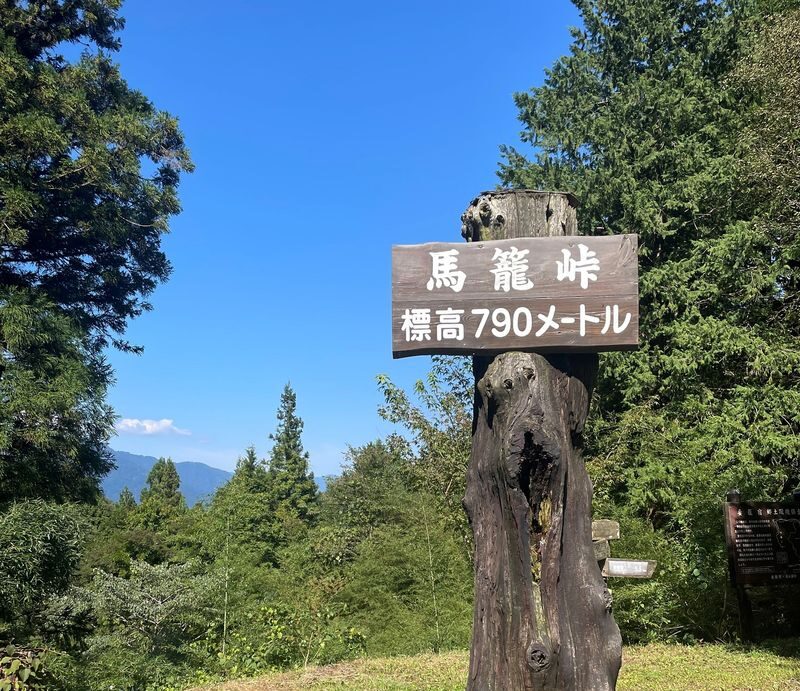 Nakatsugawa Nakasendo Trail Half-Day Guided Tour - Tsumago and the quieter streets