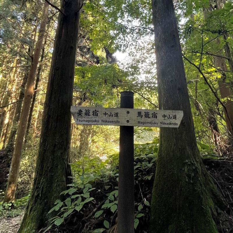 Nakatsugawa Nakasendo Trail Half-Day Guided Tour - A private guide changes the pace