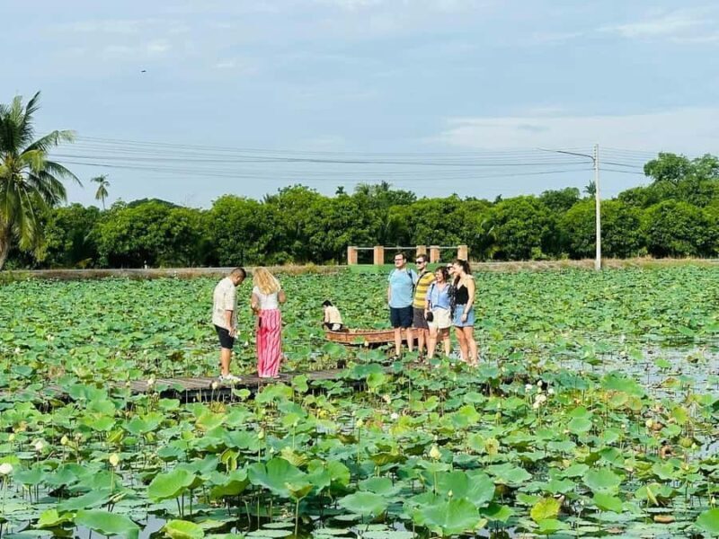 Nakhon Pathom: Lotus Pond Boat Ride and Temple Tour - Good To Know