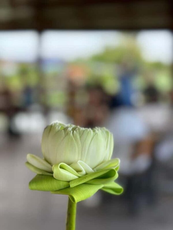 Nakhon Pathom: Lotus Pond Boat Ride and Temple Tour - An In-Depth Look at the Tour