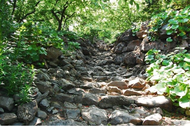 Nakijin Castle Ruins - Pair it with another northern Okinawa stop