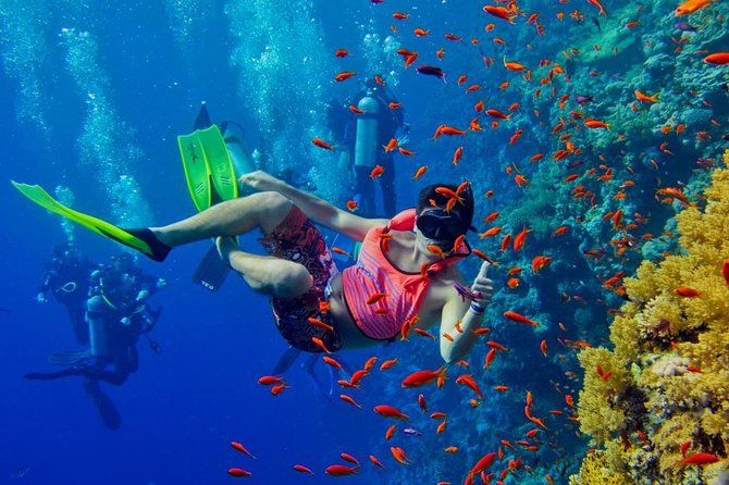 Nakupenda & Prison Island Tour Snorkeling Sea Trip - Zanzibar - Additional Considerations