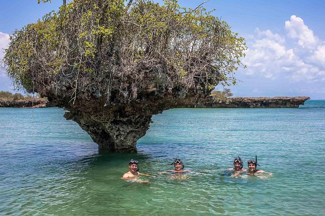 Nakupenda & Prison Island Tour Snorkeling Sea Trip - Zanzibar - Customer Review