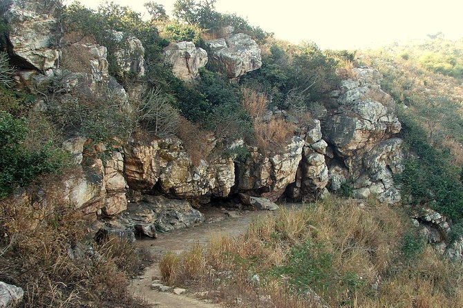 Nalanda Rajgir and Bodh Gaya From Patna - Pickup and Logistics