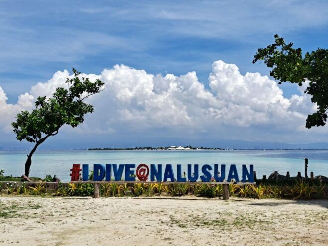 Nalusuan Island Tour - Full Description of Nalusuan Island