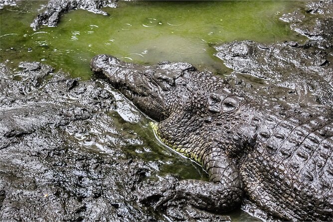 Nam Cat Tien Experience 2D/1N - The Sum Up